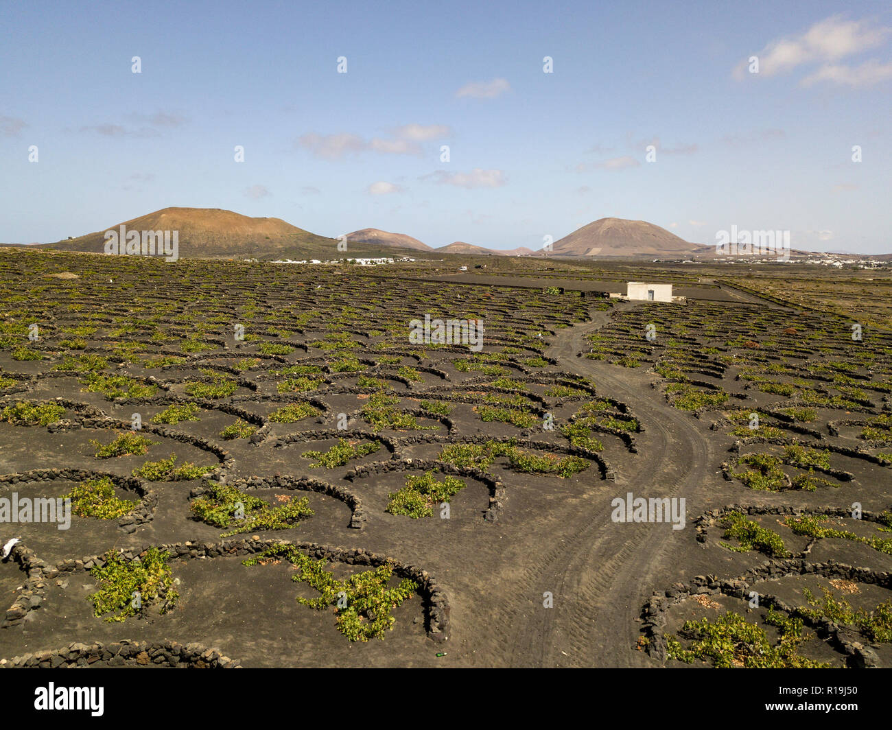 Vista aerea del vino delle colture su terreni di origine vulcanica dell'isola di Lanzarote, pianure e colline dell'entroterra. Isole Canarie Spagna Foto Stock