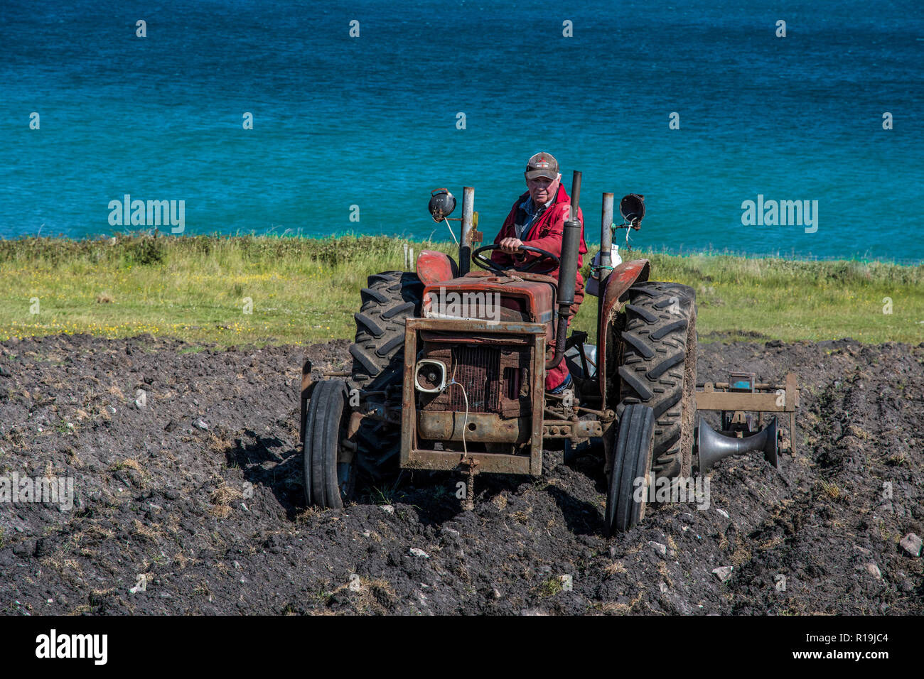 Crofting e trattore Massey Ferguson 135, Hoy, Orkney. Foto Stock