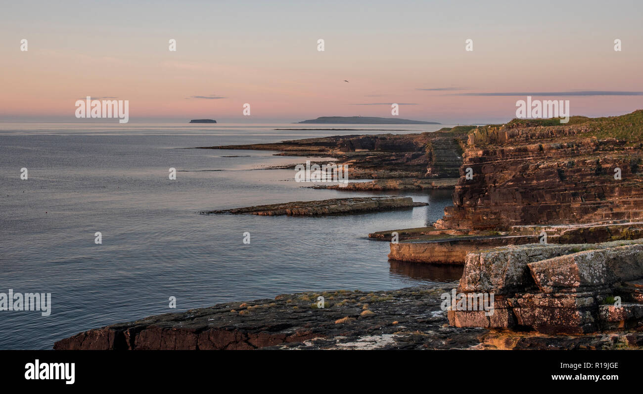 Scogliere a Deerness riserva naturale , Orkney continentale a sunrise. Foto Stock