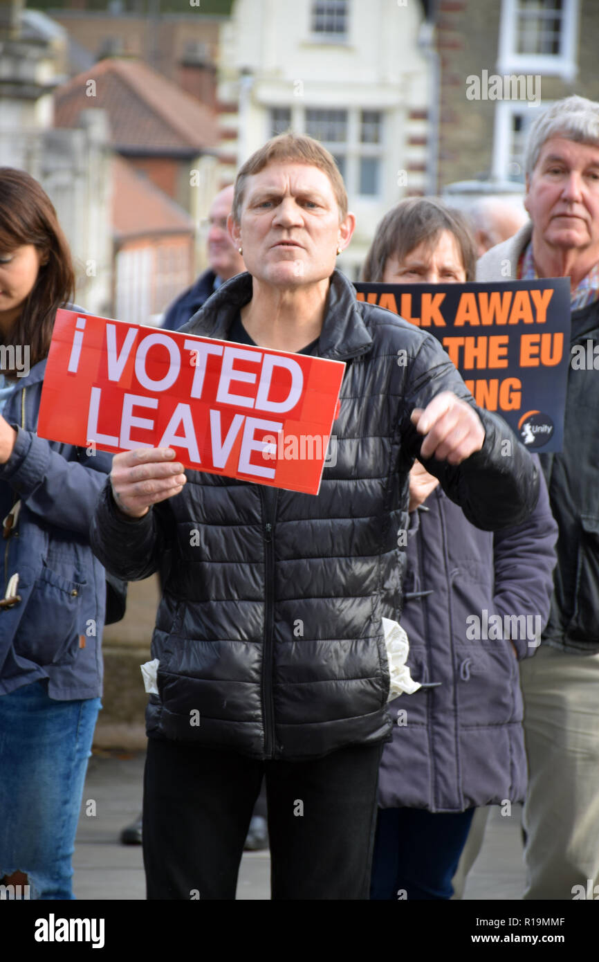 Norwich, Regno Unito 10 novembre 2018. Regno Unito Unity "riprendere il controllo' pro-Brexit protesta. Norwich contro i fascisti hanno organizzato un grande bancone-dimostrazione. Liz Somerville/Alamy Live News Foto Stock