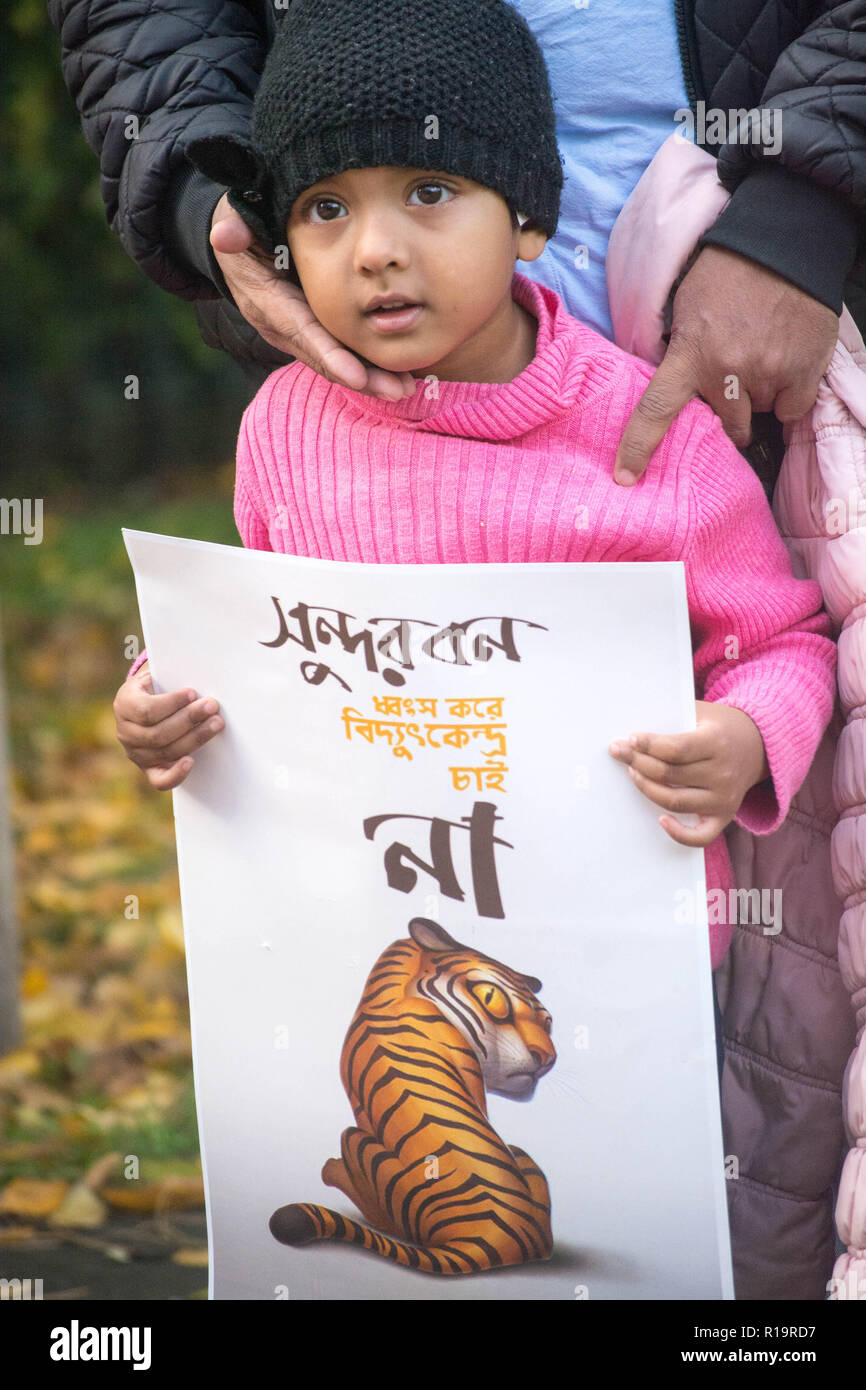 Londra, Regno Unito. Decimo Nov, 2018. sabato 10 nov 2018 altab ali park aldgate london 2pm . Sundarbans. Comitato nazionale per la protezione dell'olio e gas di risorse minerali in Bangladesh ha chiamato a osservare la Giornata per la Sundarbans per portare attenzione globale e di solidarietà in tutto il mondo per salvare la foresta. che è di fronte a una minaccia di coal fired power station, un piuttosto incredibilmente stupido e dangerouse proposta come il Pakistan potrebbe sostenere la produzione di potenza con l'uso del filtro solare regime di potenza, importare carbone nelle regioni di terreni boschivi garantirà l'invasione, la distruzione di habitat per la su Foto Stock