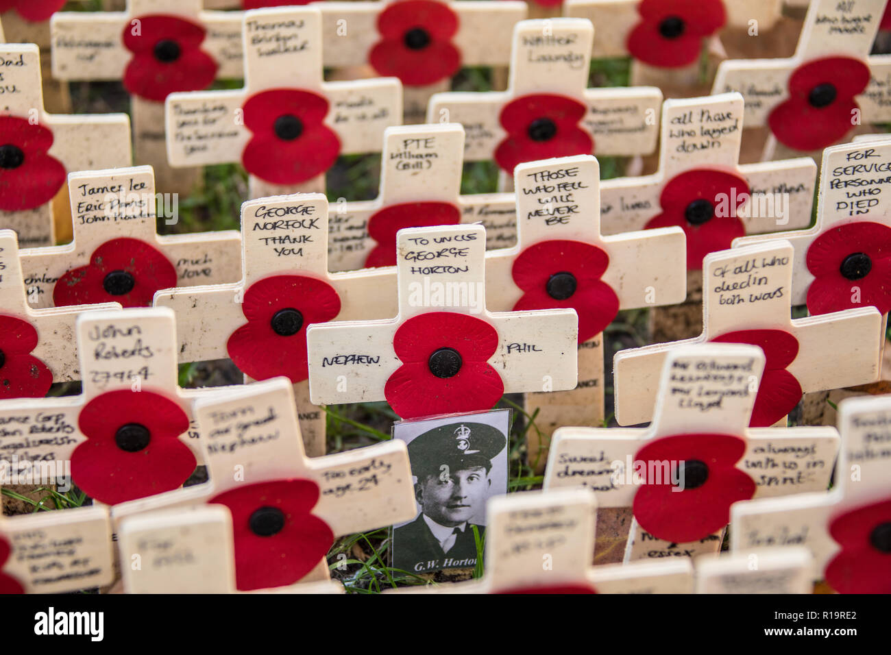 Londra, Regno Unito. Decimo Nov, 2018. Un bianco & nero foto tra le linee del papavero attraversa al Westminster Abbey Campo di ricordo. Chief Petty Officer George Horton (nella foto) è stato uno dei 1.415 uomini persi quando il sistema HMS Hood fu affondato in Danimarca stretto sul XXIV Maggio 1941 durante il WW2. Credito: David Rowe/Alamy Live News Foto Stock