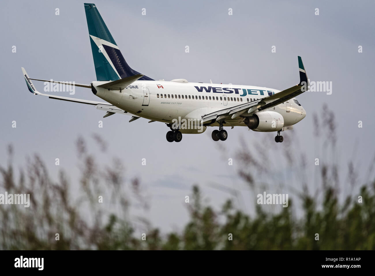 Richmond, British Columbia, Canada. 29 Maggio, 2018. Un WestJet Airlines Boeing 737-700 (C-GWJE) a corridoio unico corpo stretto aereo jet in volo su breve avvicinamento finale per l'atterraggio. Credito: Bayne Stanley/ZUMA filo/Alamy Live News Foto Stock