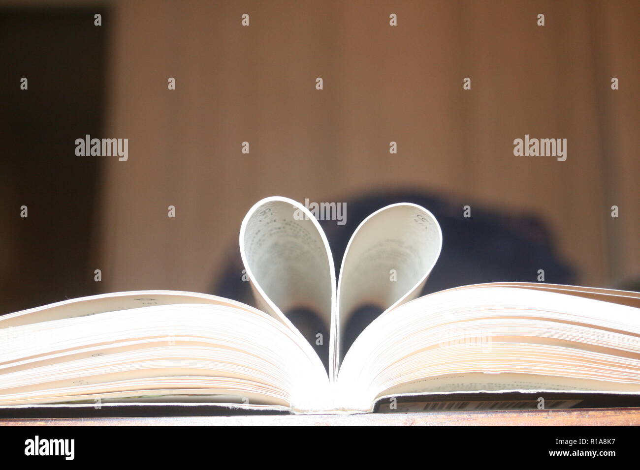 "Gli appassionati di libri' Foto Stock