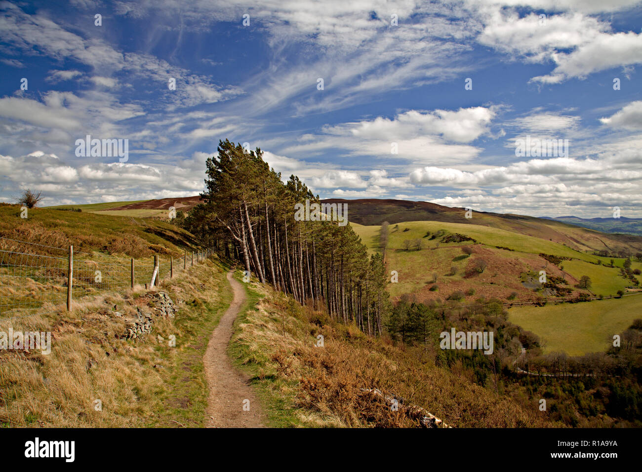 Offa's Dyke nel percorso di Clwydian hills nel Galles del Nord Foto Stock