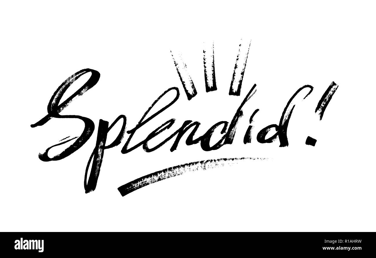 Splendido! - Moderna calligrafia, disegnato a mano scritte di inchiostro Foto Stock