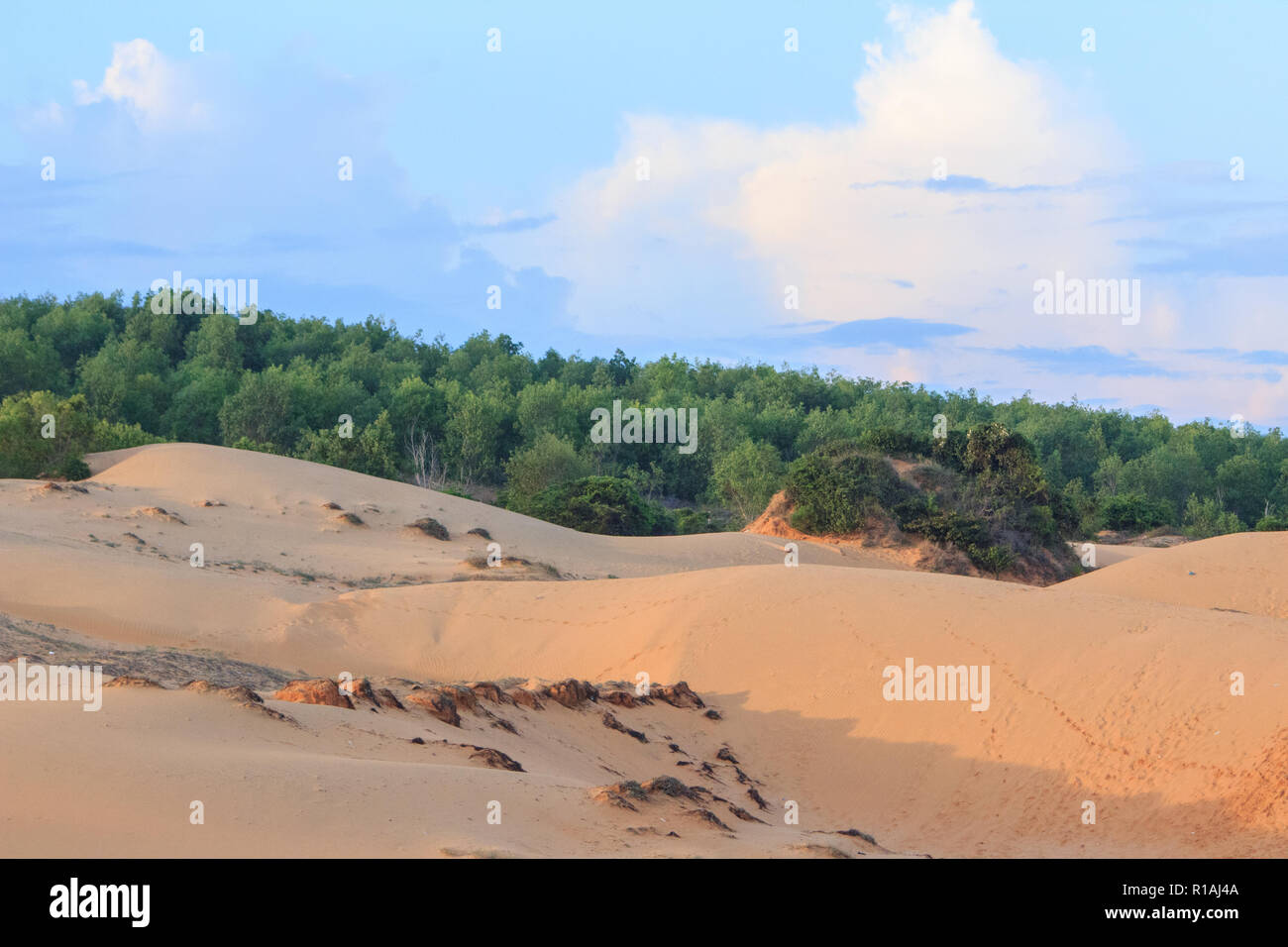 Le dune di sabbia bianca in mui ne vietnam Foto Stock