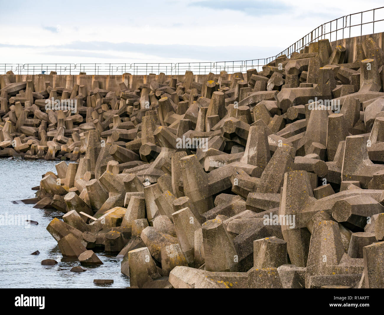 Calcestruzzo mare dolos barriera di difesa, la centrale nucleare di Torness, East Lothian, Scozia, Regno Unito Foto Stock