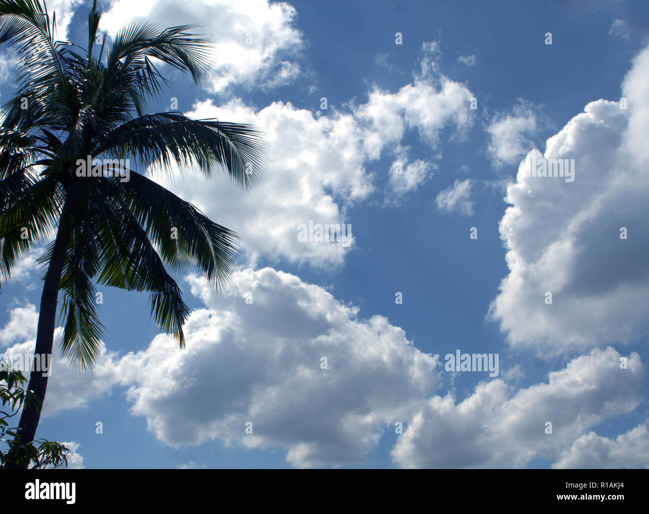 In un clima soleggiato offuscato in cielo blu.La sua un molto bel tempo. Foto Stock