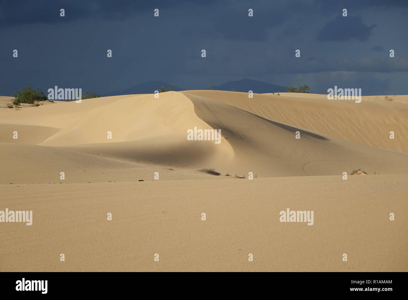 Drammatica bella interessante cielo nella luce della sera oltre le dune del Parco Naturale di Corralejo,Fuerteventura,Las Palmas,isole Canarie,Spagna. Foto Stock