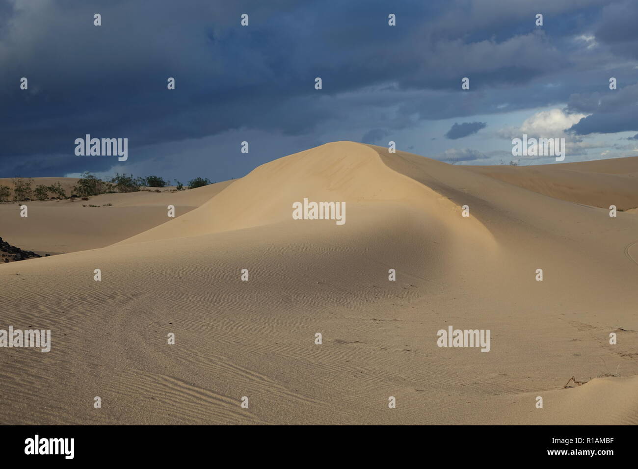 Drammatica bella interessante cielo nella luce della sera oltre le dune del Parco Naturale di Corralejo,Fuerteventura,Las Palmas,isole Canarie,Spagna. Foto Stock