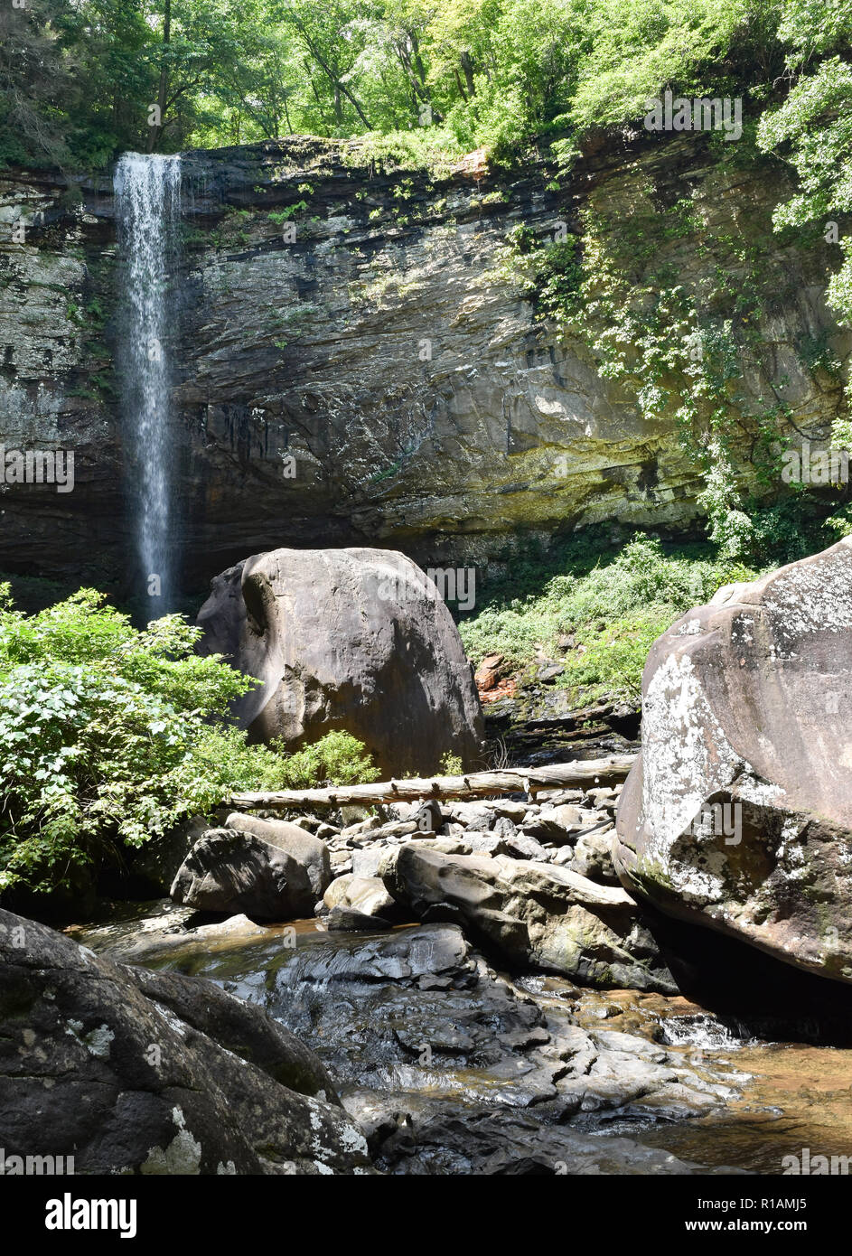 La cicuta Falls è una delle molte bellezze naturali in Cloudland Canyon State Park nel nord-est della Georgia, Stati Uniti d'America, vicino alla città di Chattanooga. Foto Stock