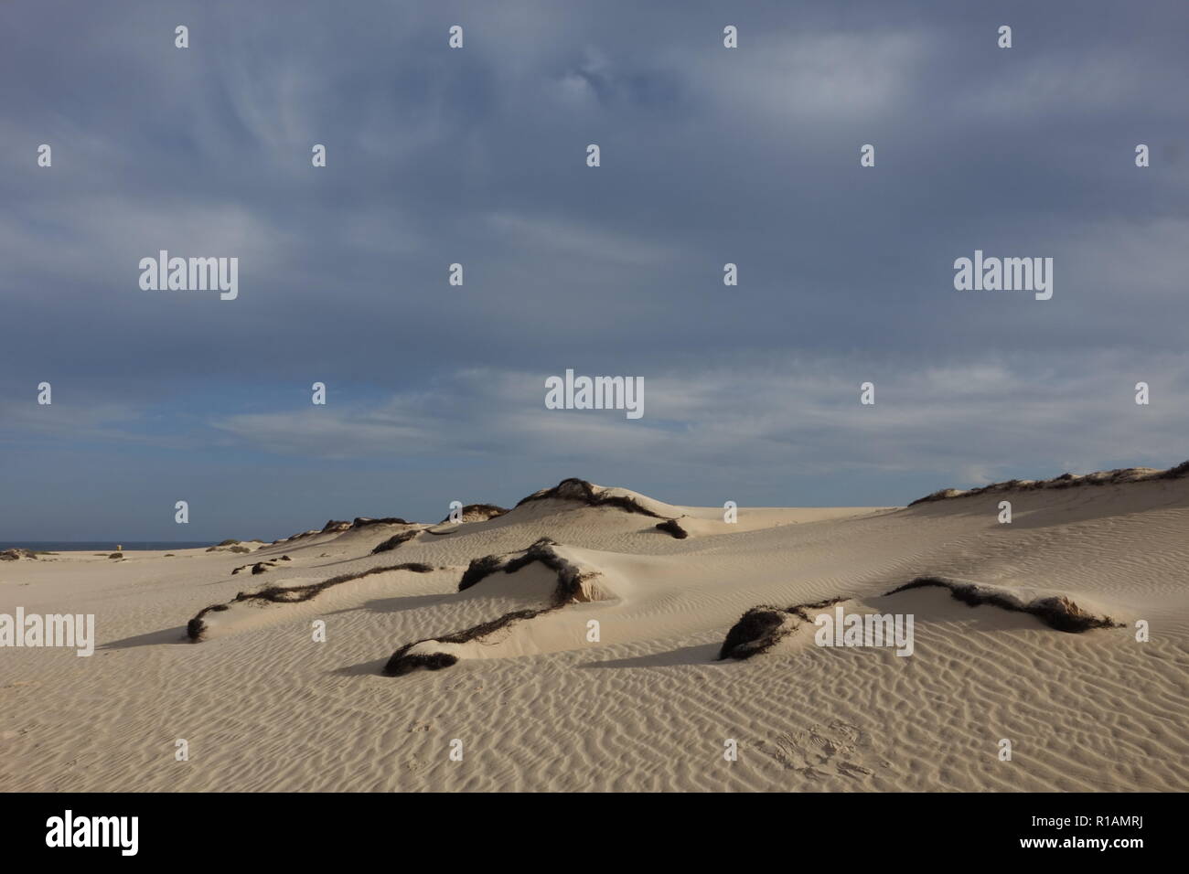 Drammatica bella interessante cielo nella luce della sera oltre le dune del Parco Naturale di Corralejo,Fuerteventura,Las Palmas,isole Canarie,Spagna. Foto Stock