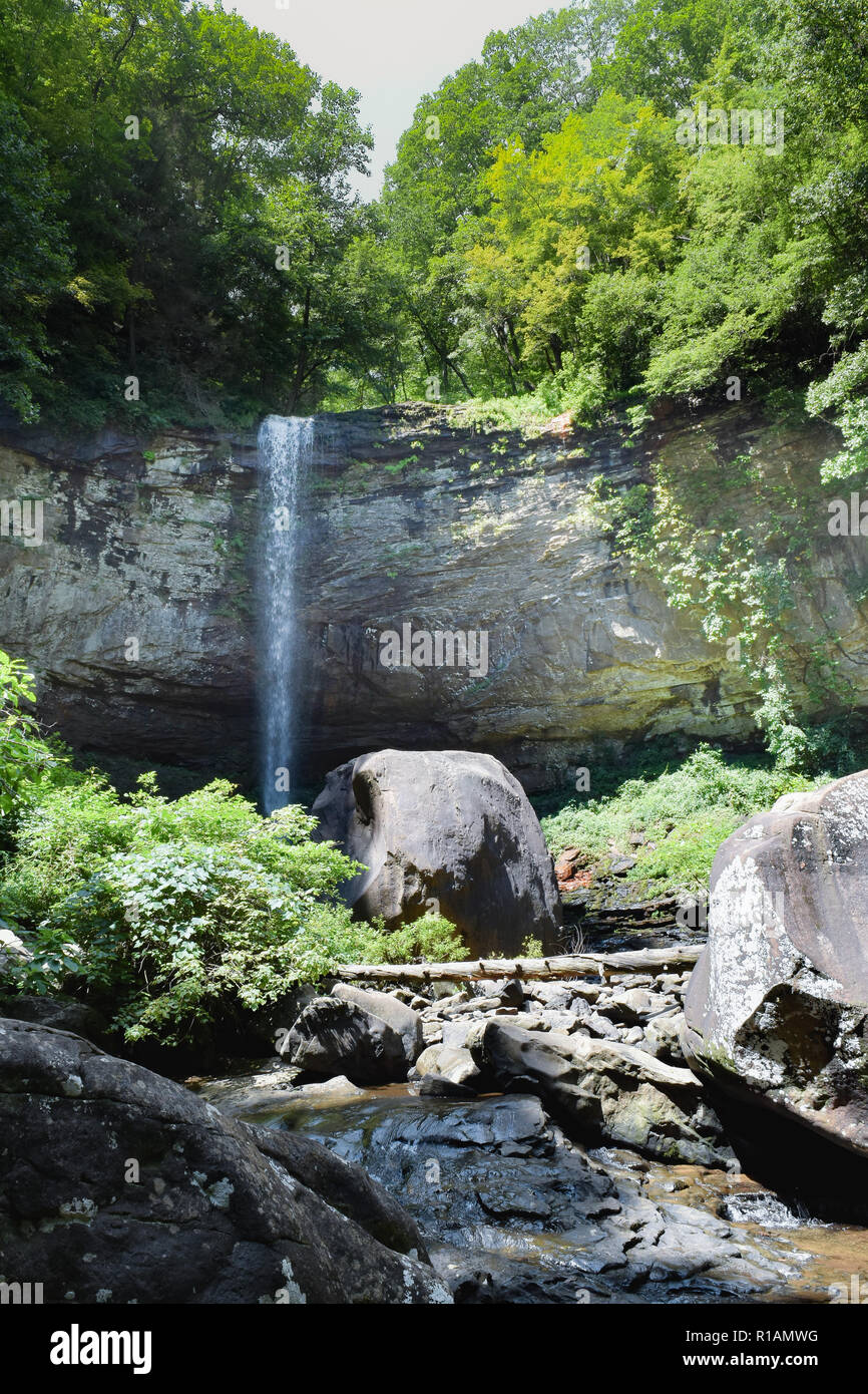 La cicuta Falls è una delle molte bellezze naturali in Cloudland Canyon State Park nel nord-est della Georgia, Stati Uniti d'America, vicino alla città di Chattanooga. Foto Stock