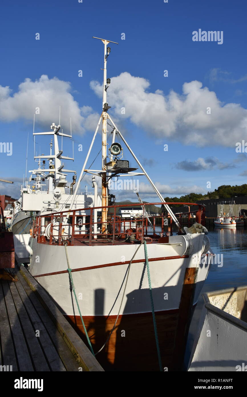 Norwegen, Lofoten, Hafen, Napp, Nappstraumen, Fischerei, Fischerboot, Fischereiflotte, Anker, Scheinwerfer, Nappholmen, Nappsvågen, Fischverarbeitung, Foto Stock