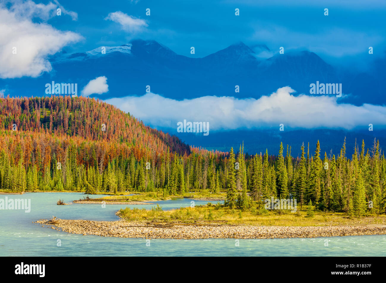 Parco Nazionale di Jasper, Alberta Canada Foto Stock