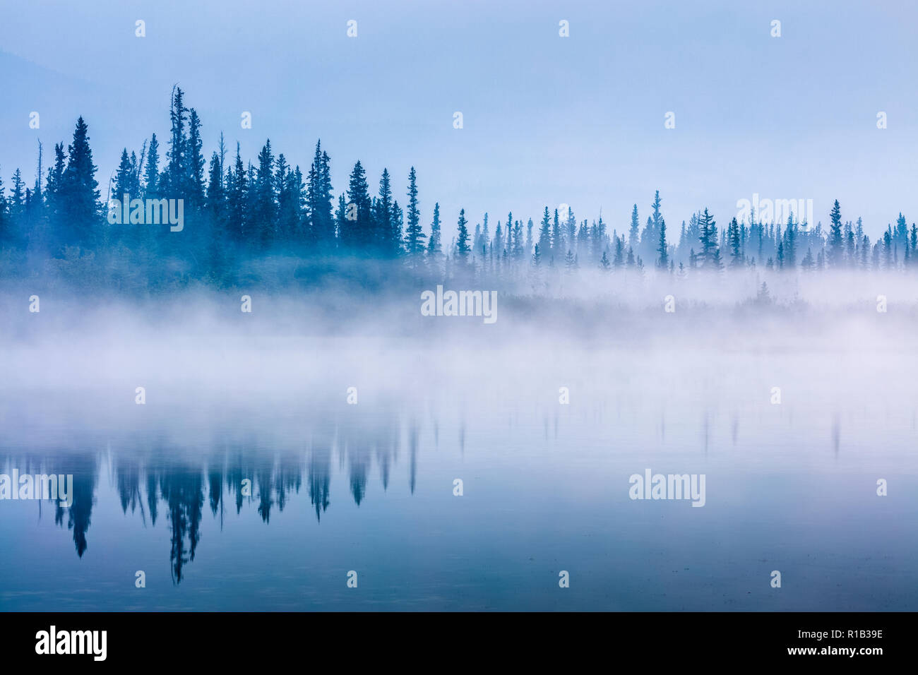 Nebbia di mattina nel Parco Nazionale di Jasper, Alberta Canada Foto Stock