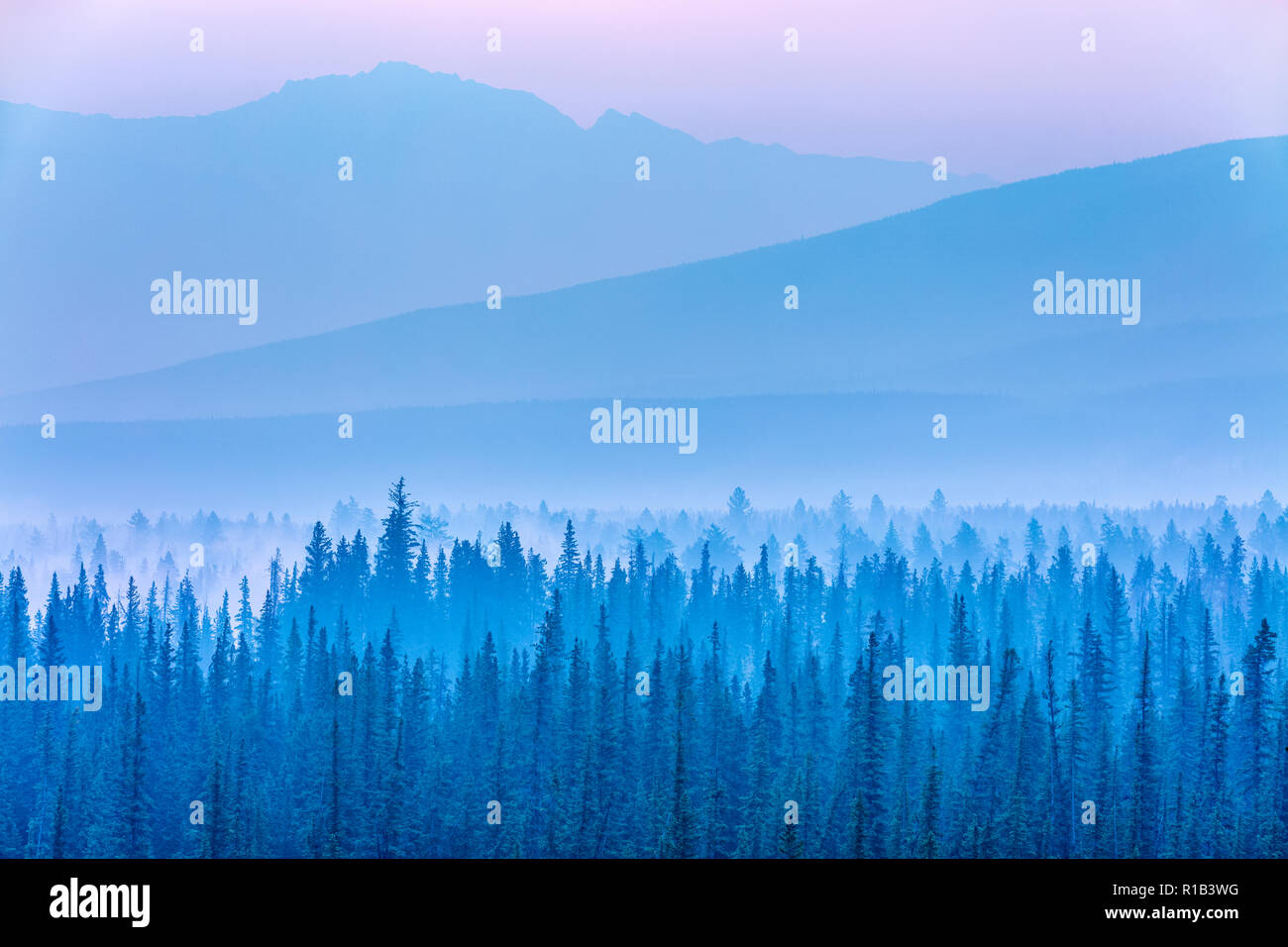 Nebbia di mattina nel Parco Nazionale di Jasper, Alberta Canada Foto Stock