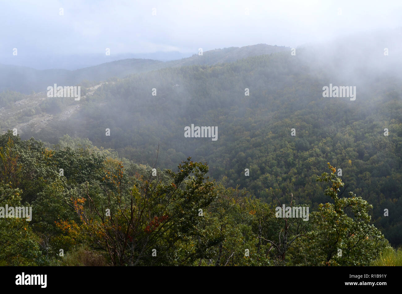 Tejera Negra faggio e boschi di quercia nella Sierra de Ayllón, Guadalajara, Spagna centrale Foto Stock