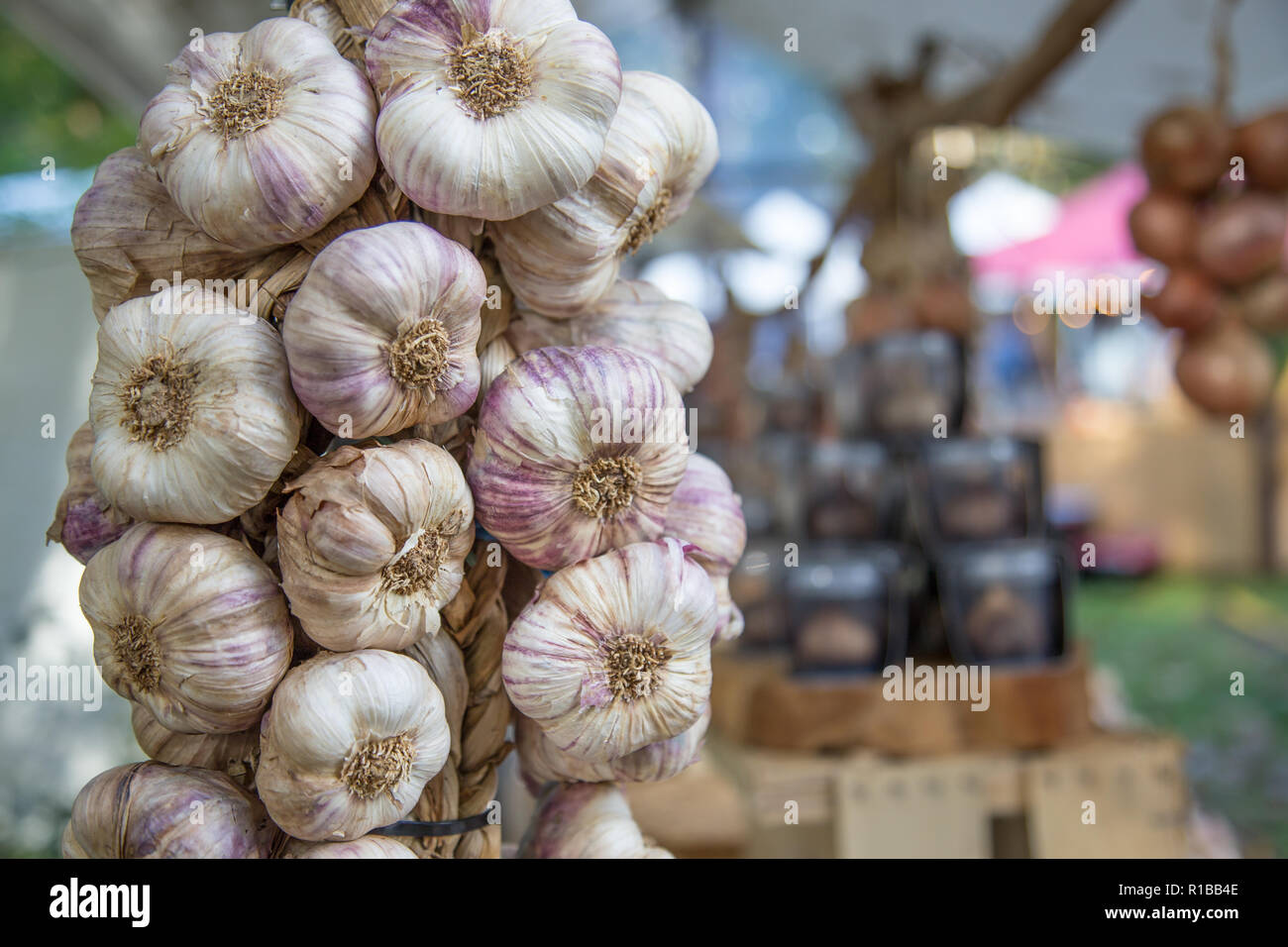 Stringa intrecciato di aglio biologico sul mercato Foto Stock
