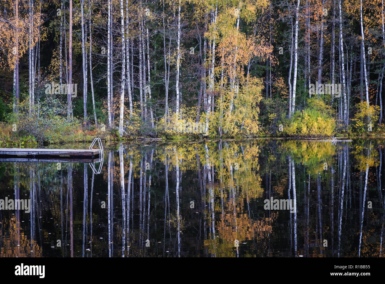 Acqua bella vista di riflessione con i colori dell'autunno e il lago in autunno il giorno in Finlandia. Foto Stock