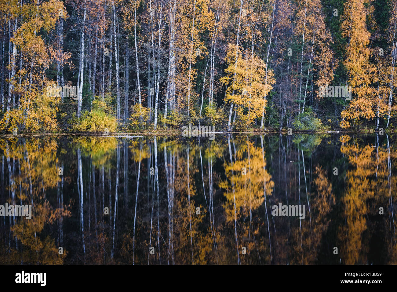 Acqua bella vista di riflessione con i colori dell'autunno e il lago in autunno il giorno in Finlandia. Foto Stock