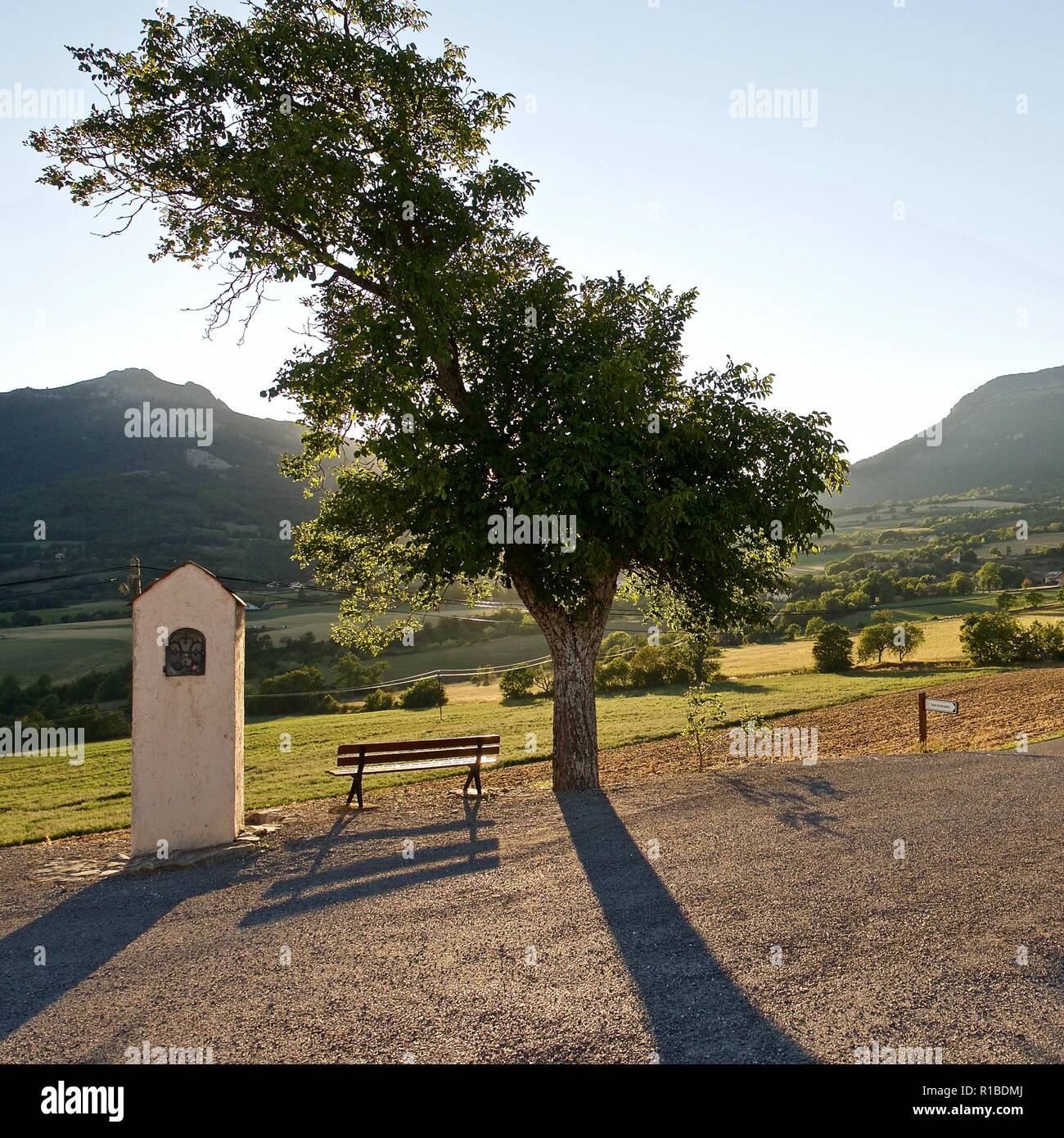 Idillio rurale nelle Alpi francesi in estate, con struttura ad albero e panchina Foto Stock