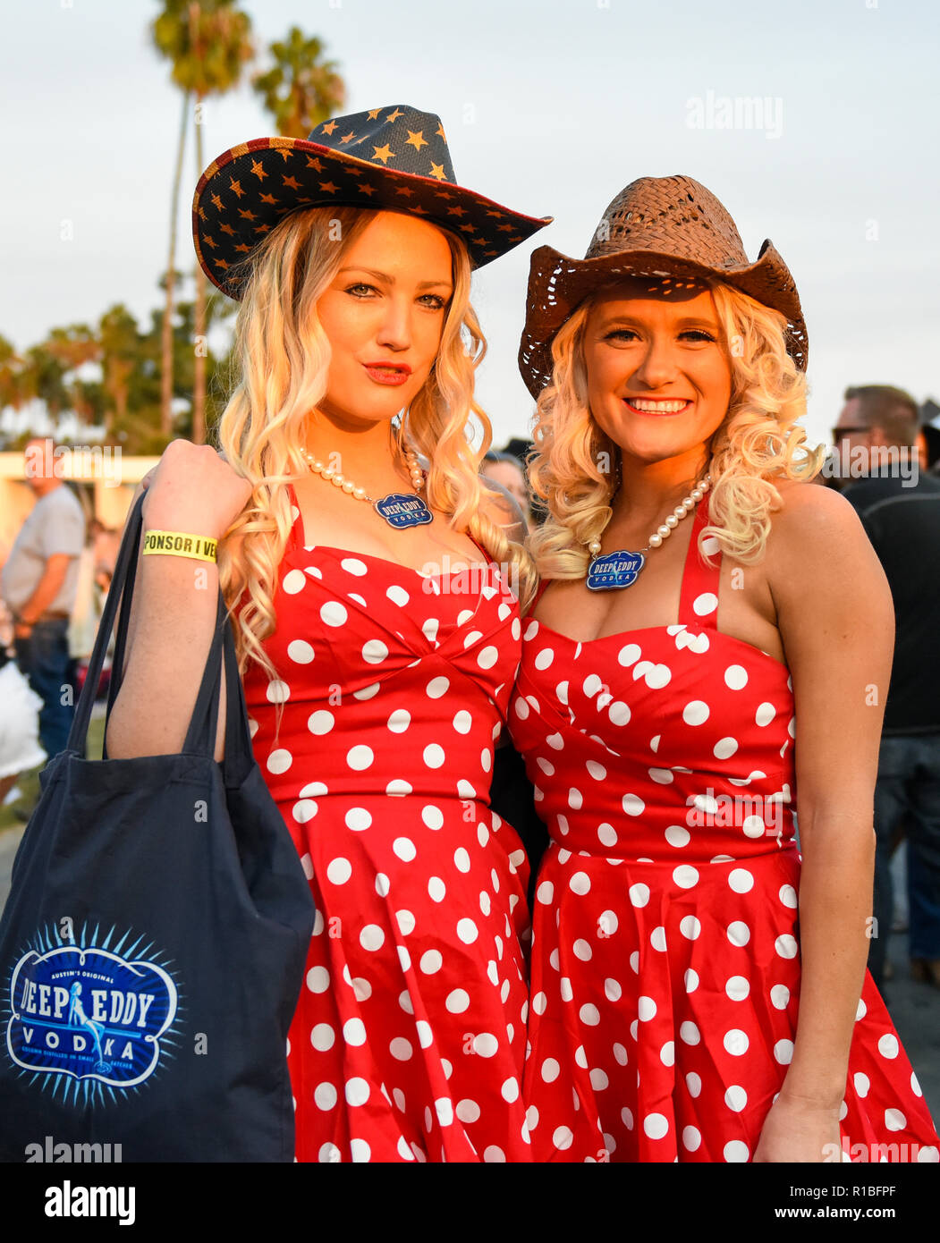 Stato Doheny Beach, Dana Point, California, 10 novembre 2018, i partecipanti alla 2018 Driftwood Country Music Festival di Doheny Beach State Park, California, Photo credit: Ken Howard, Alamy Live News Foto Stock