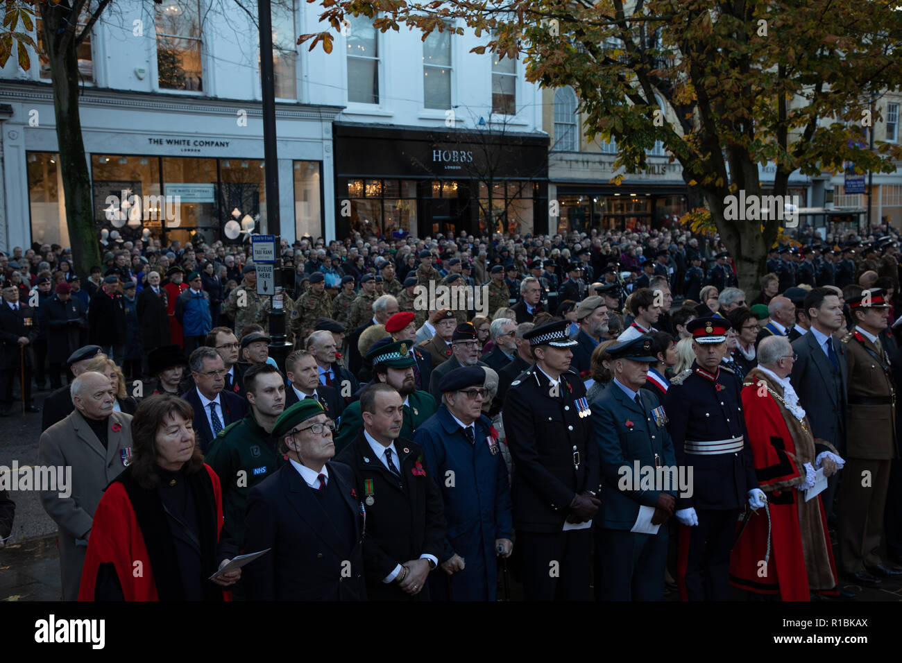 Cheltenham, Regno Unito. Xi Nov, 2018. Di fronte alla folla di credito attenzione: Victor Storublev/Alamy Live News Foto Stock