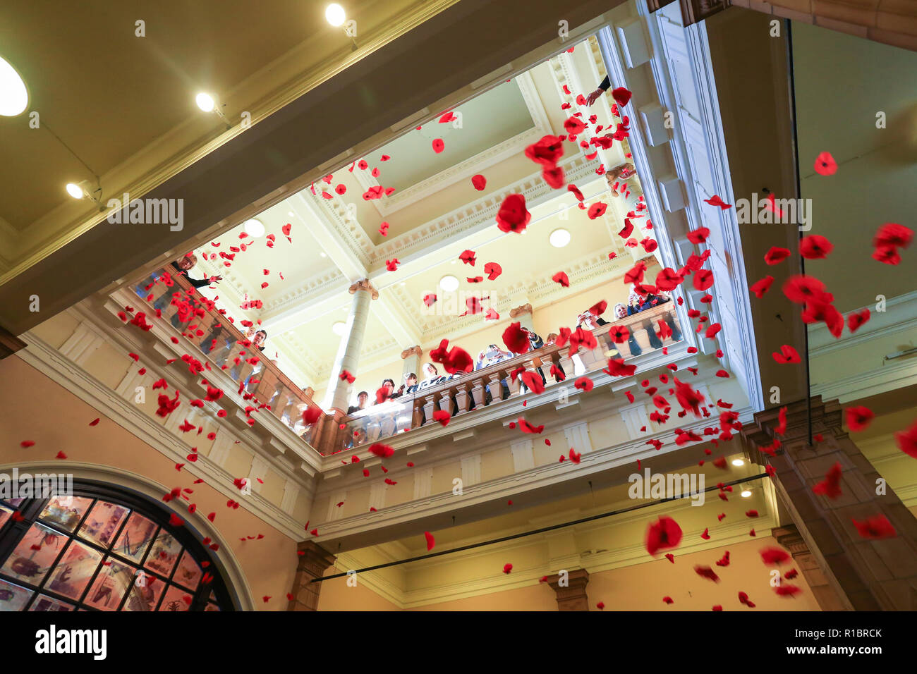 Worcester, Regno Unito. 11 Novembre, 2018. Bambini goccia centinaia di papaveri di carta hanno effettuato oltre il salone centrale a Worcester Museo e Galleria d'arte come parte del Giorno del Ricordo commemorazioni. Peter Lopeman/Alamy Live News Foto Stock