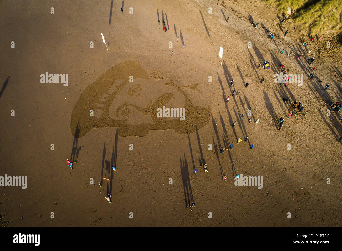 Ynyslas Wales UK, 11/11/2018. Un gigante 30mx30m sabbia ritratto di RICHARD DAVIES, deck mano, dal vicino villaggio di Borth, che ha servito nella Royal Navy nella prima guerra mondiale, scavate nella sabbia sulla spiaggia di Ynyslas , appena a nord di Aberystwyth sulla West Wales coast. Concepito dal regista Danny Boyle, questo effimero perforato del memorial arte - Pagine di mare - è uno dei 28 creato su spiagge in tutto il Regno Unito in questo giorno, ricordo la domenica, il centesimo anniversario dell'armistizio che ha portato a termine la prima guerra mondiale Photo credit Keith Morris Alamy Live News Foto Stock