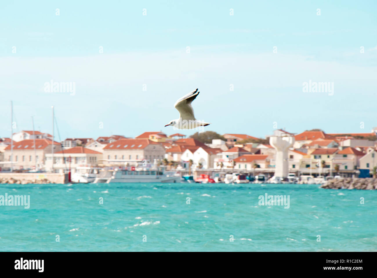 Un gabbiano volare al di sopra del mare ondeggiante in una giornata di sole a Vodice Croazia Foto Stock