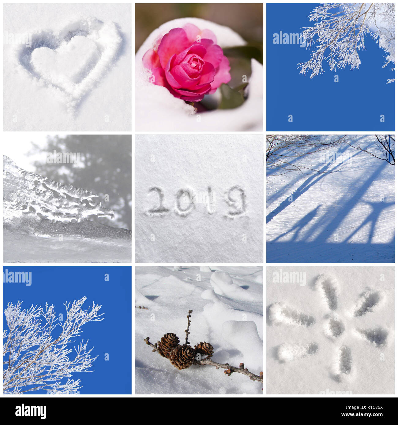 2019, neve e natura invernale foto collage Foto Stock