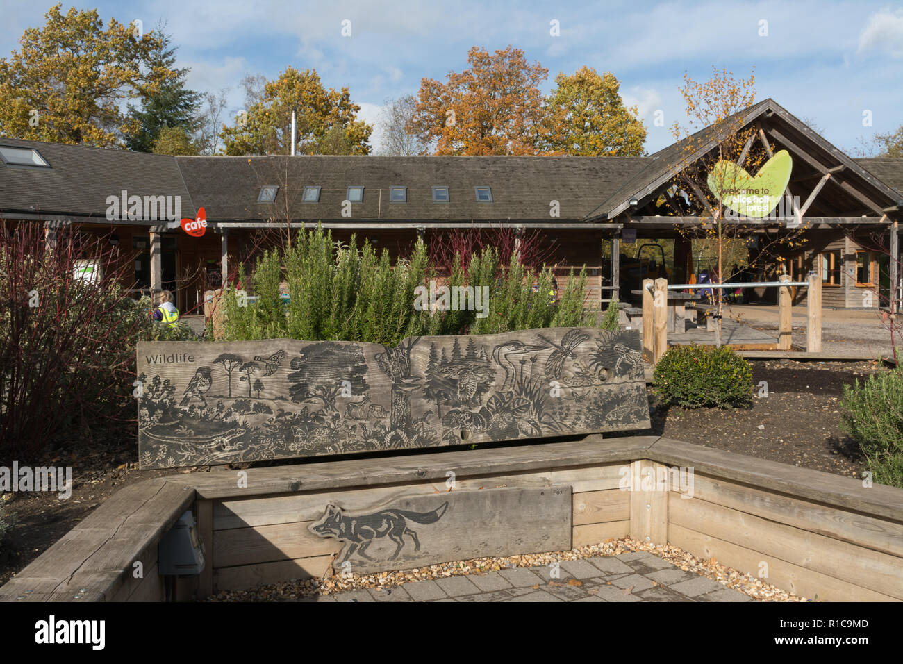 Alice Holt Forest Visitor Center e caffetteria in Hampshire, Regno Unito Foto Stock