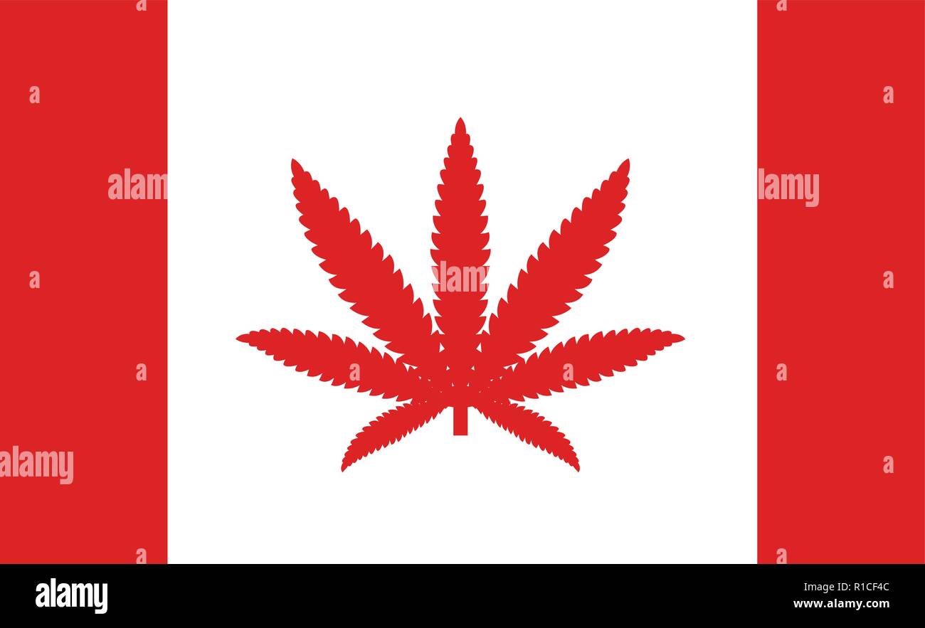 Bandiera del Canada con una foglia di marijuana, come il concetto di autorizzazione per uso medico di marijuana nel paese Illustrazione Vettoriale