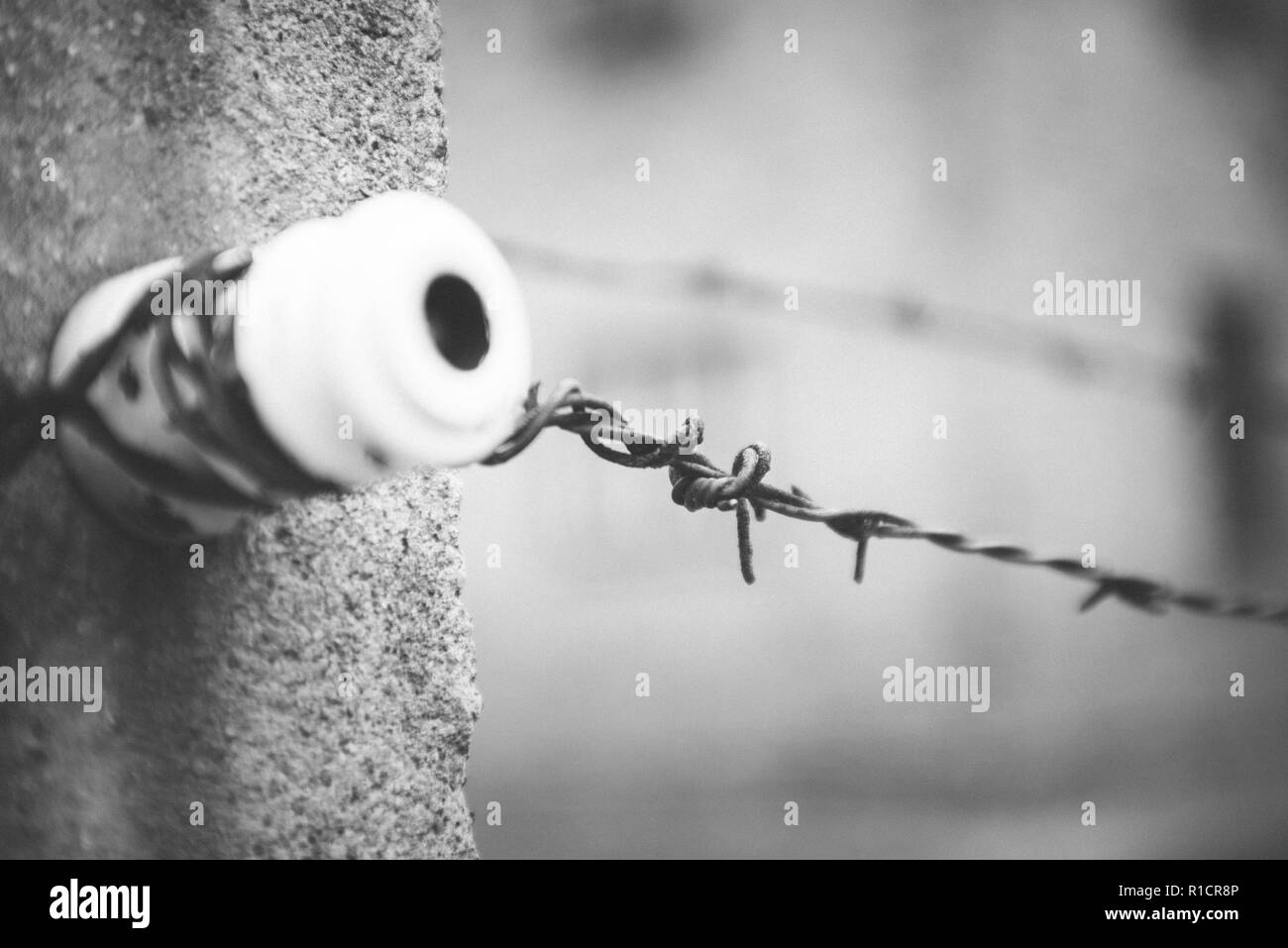 Auschwitz campo di lavoro e sterminio nazista. Recinzioni elettrificate. Auschwitz, Tedesco-occupato, Polonia, Europa Foto Stock