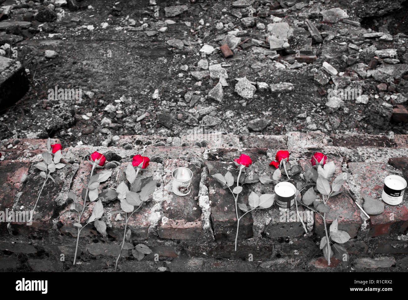 II di Auschwitz Birkenau, campo di lavoro e sterminio nazista. Rose rosse accanto a resti di una camera a gas e forno crematorio di Auschwitz II Birk Foto Stock