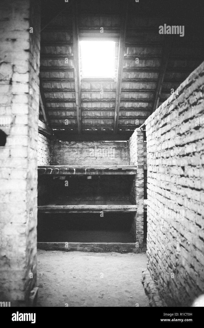II di Auschwitz Birkenau, campo di lavoro e sterminio nazista. I letti delle donne prigionieri in una baracca di Auschwitz II Birkenau. Auschwitz, Tedesco-occ Foto Stock