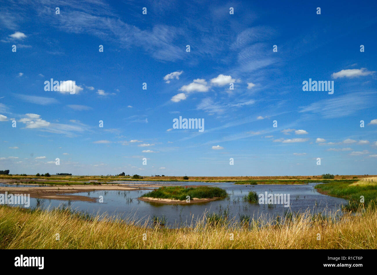 RSPB Frampton Marsh Riserva Naturale, Lincolnshire, Regno Unito Foto Stock