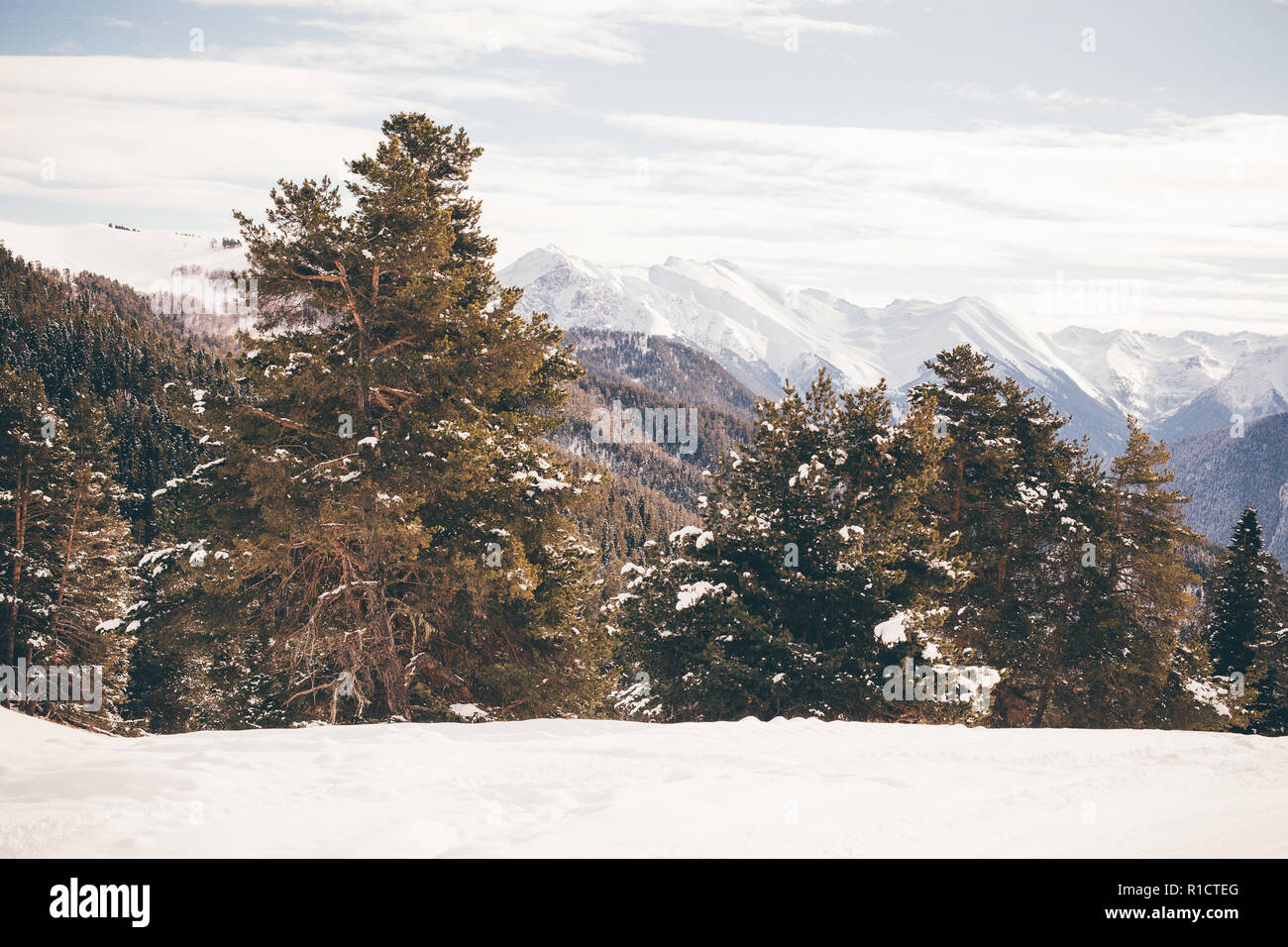 Paesaggio invernale delle montagne innevate in un giorno chiaro. Il concetto di viaggio, vedute panoramiche di picchi rocciosi e pendii con la foresta di conifere. Foto Stock