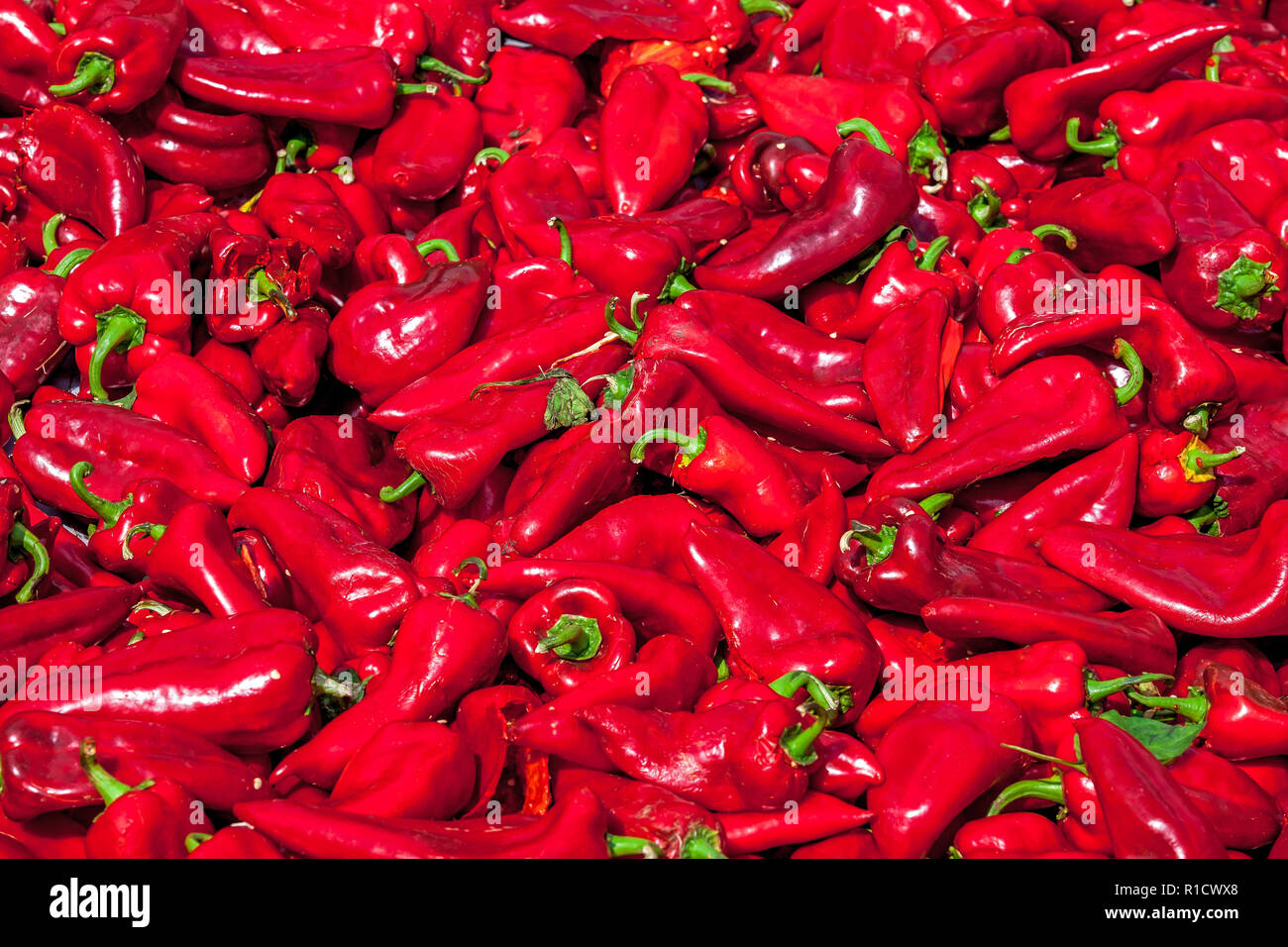 Per fare pasta di peperoncino, peperoni rossi lavati con acqua ed essiccati al sole Foto Stock