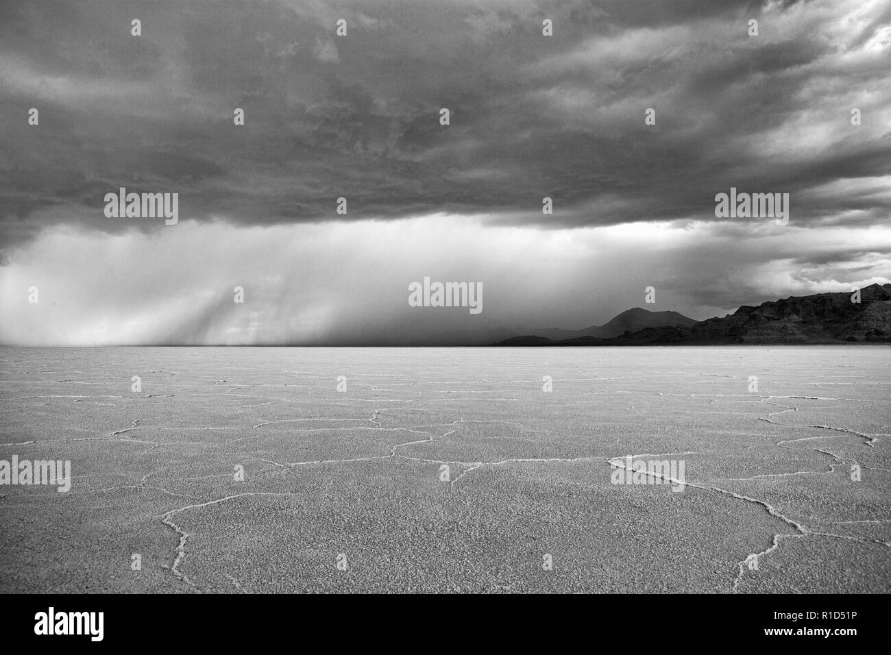 Bonneville saline, Utah, Stati Uniti d'America Foto Stock