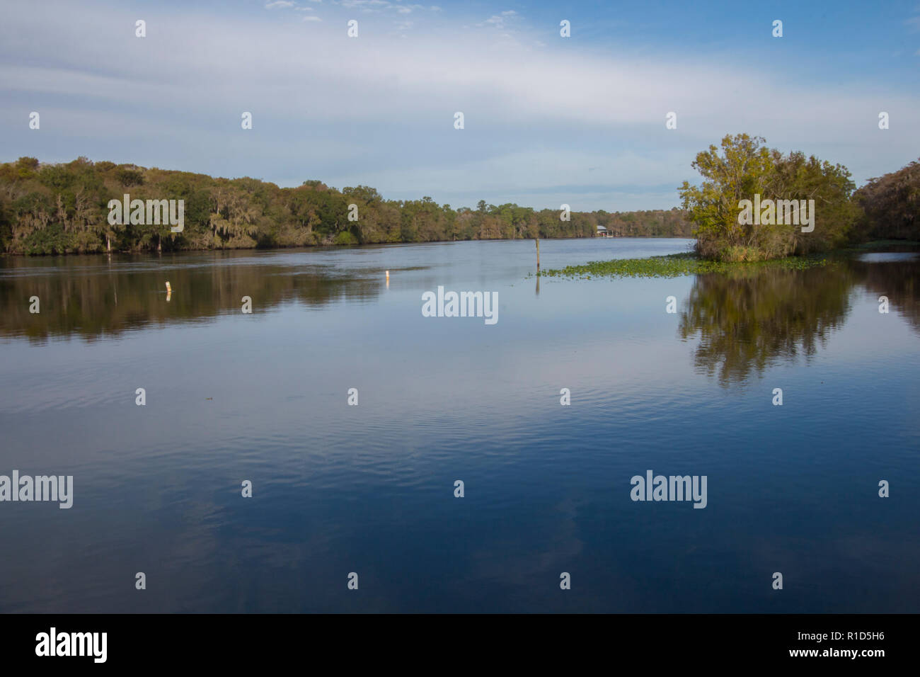 Fiume Suwannee, Florida Foto Stock