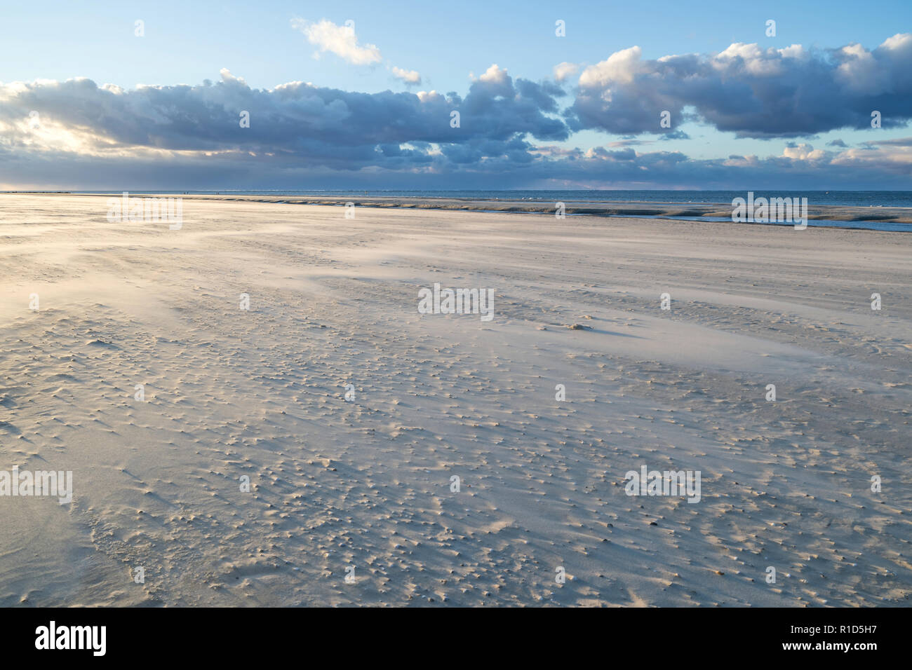 Dutch costa del Mare del Nord a Paal 31 sull isola olandese di Texel Foto Stock