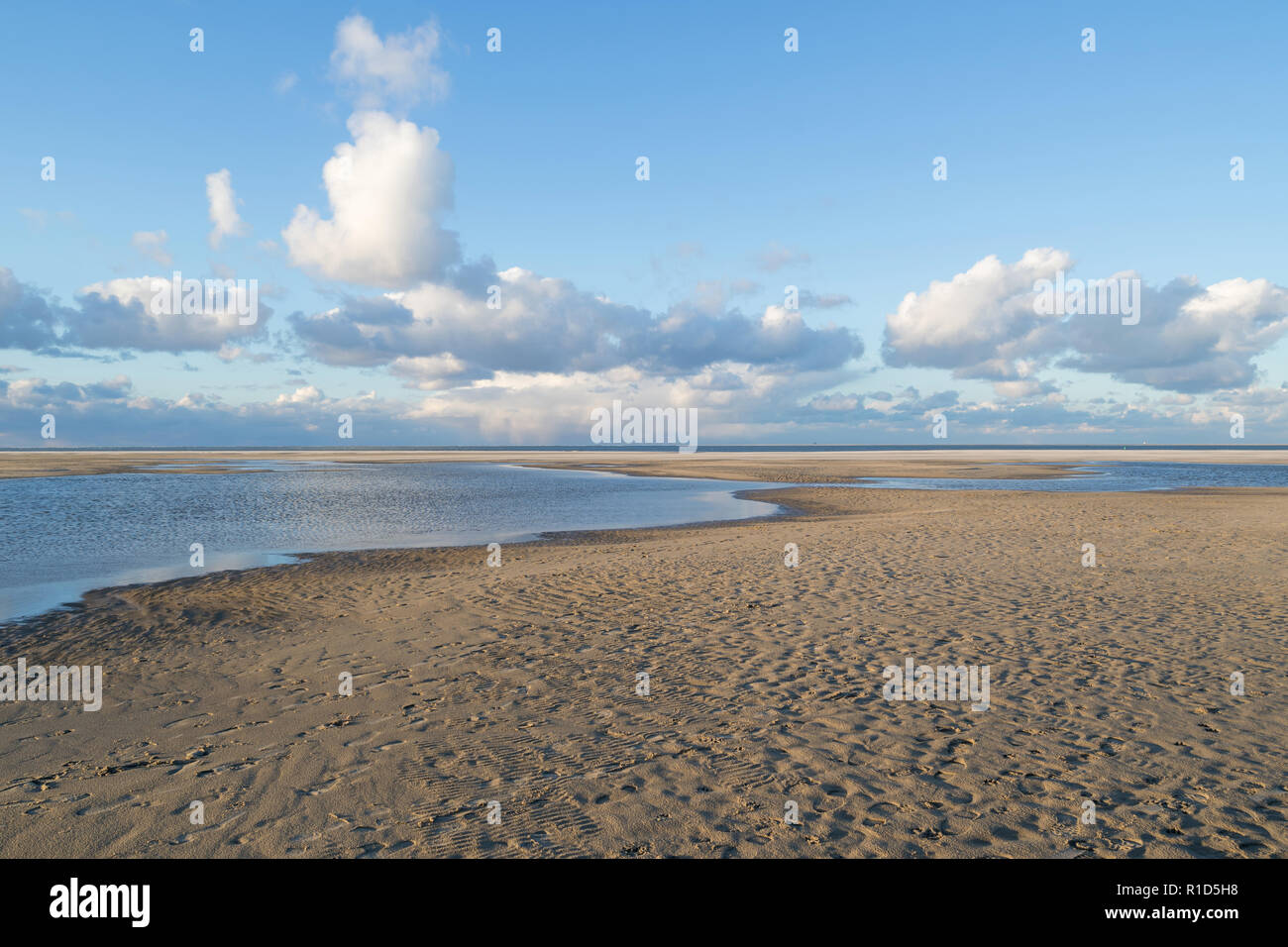 Dutch costa del Mare del Nord a Paal 31 sull isola olandese di Texel Foto Stock