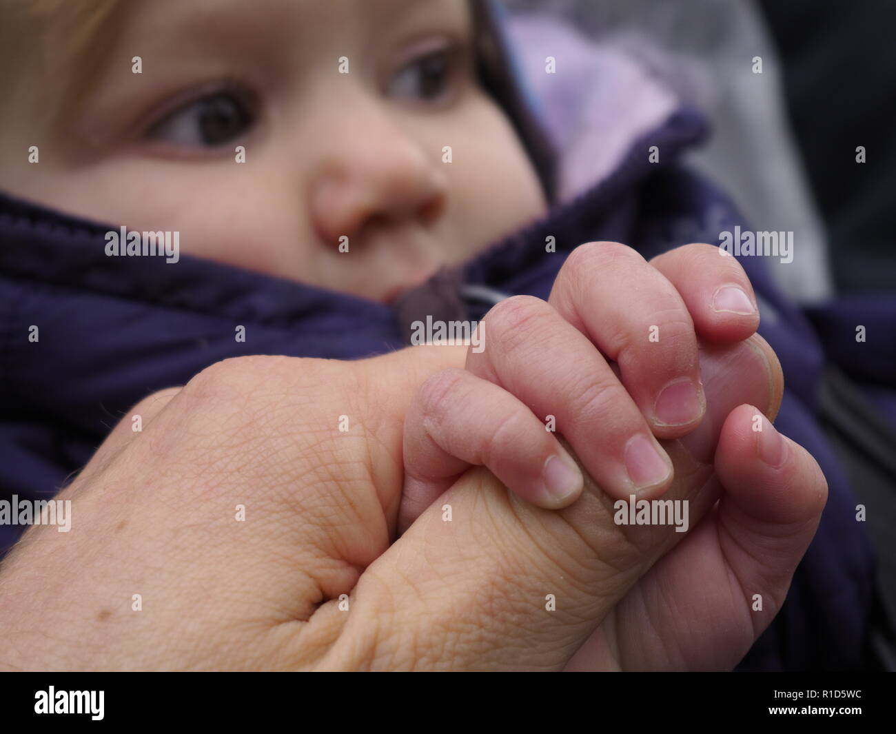 Baby mano in presa la mano di un adulto con il pollice con fuori fuoco faccia in background Foto Stock