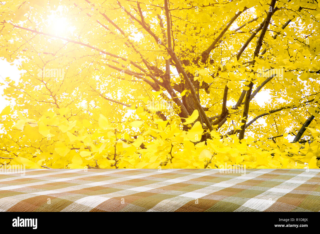 Tavolo da picnic e completamente giallo del Ginkgo Foglie di autunno con sfondo bokeh di fondo. Foto Stock