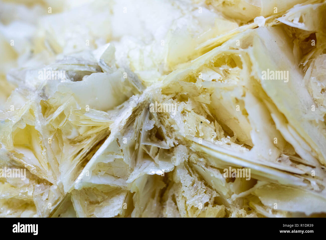 Vicino il minerale di gesso grezzo isolato macro Foto Stock