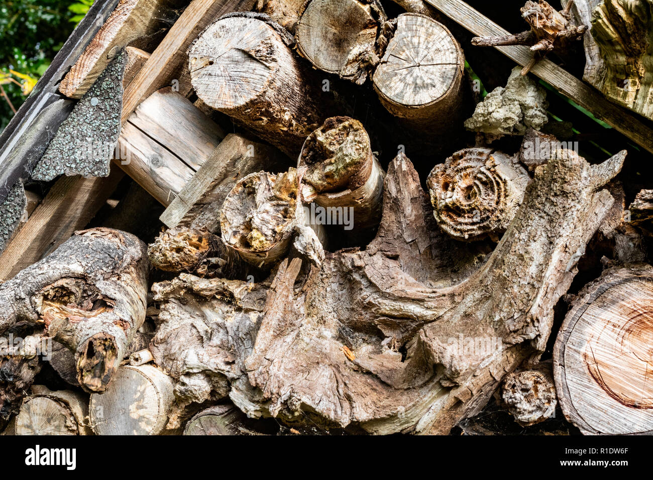 Cinque Stelle di Bug Hotel alla RHS Rosemoor, grande Torrington, Devon, Inghilterra. Foto Stock