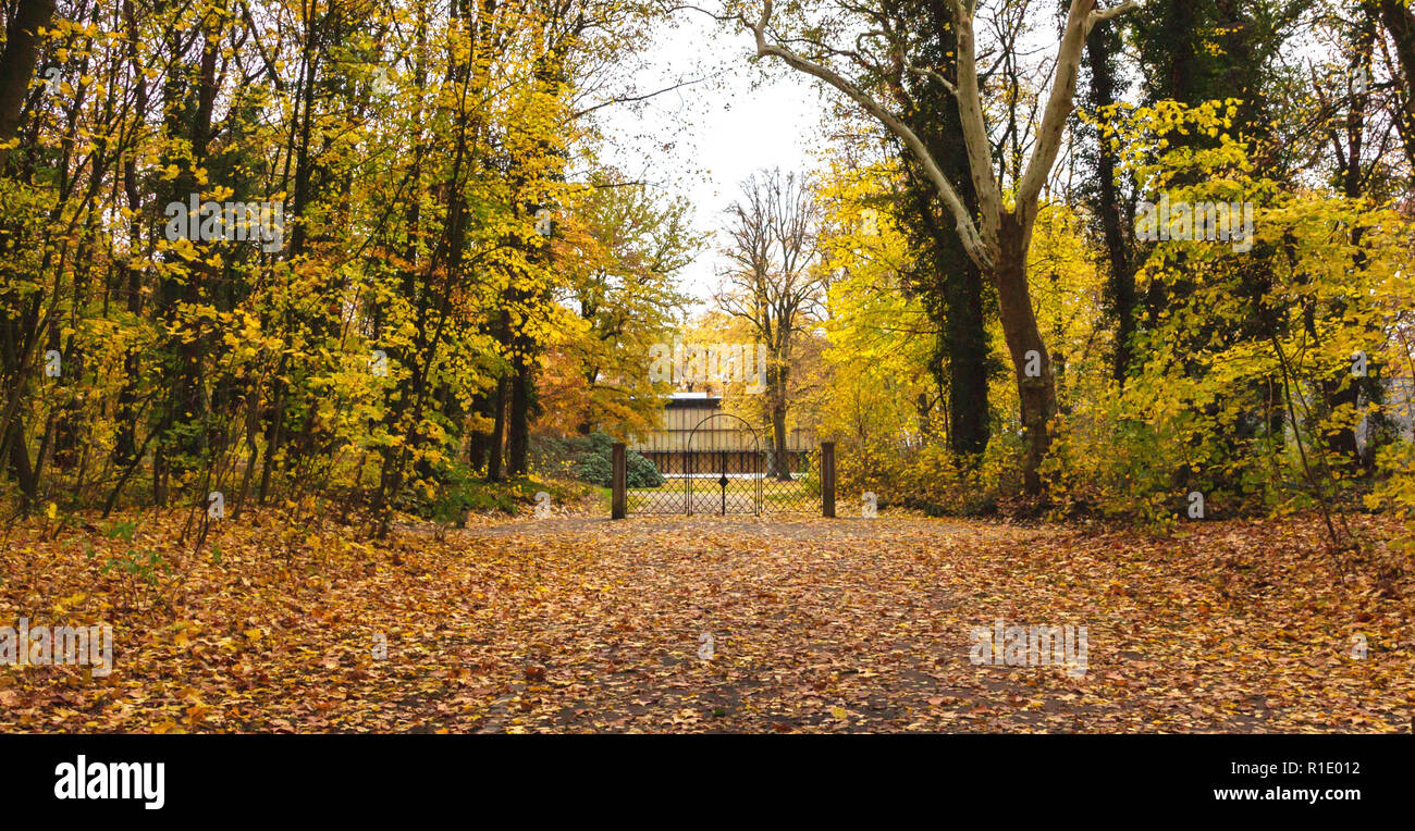 Splendida e romantica vicolo in un parco, autunno sfondo naturale. Banco in autunno park. Paesaggio autunnale. Gli alberi d'autunno. Foto Stock